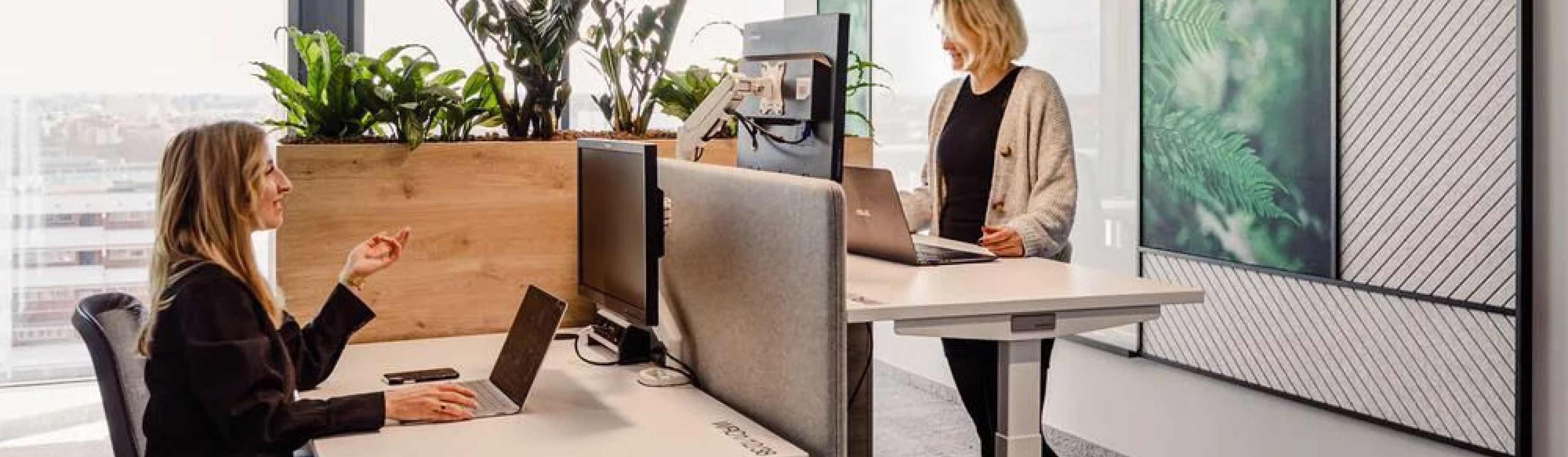 Dedicated desks in a professional environment